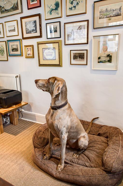 White Hart Inn Wells Zewnętrze zdjęcie